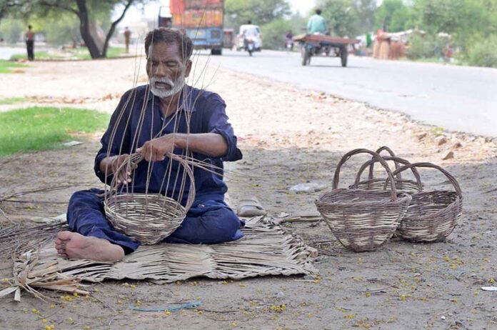 A worker is busy making baskets with the dry branches of a tree at roadside setup