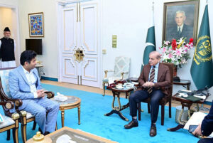 Member National Assembly Rana Iradat Sharif calls on Prime Minister Muhammad Shehbaz Sharif.
