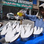 A vendor sprinkle water on the Coconut to keep them fresh at his roadside setup