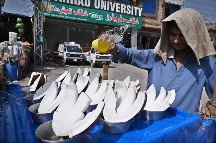 A vendor sprinkle water on the Coconut to keep them fresh at his roadside setup