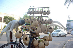 Roadside vender selling handmade bird nests on his bicycle at Muhammad Ali Society.