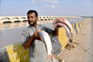 A view of boat parked in front of Lansdowne Bridge and Ayub Bridge at Left Bank of Indus River near Rohri