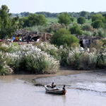 Fishermen on their way on boat rowing in the right bank of River Indus near Larkana-Khairpur Road
