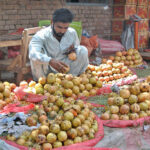A vendor arranging and displaying seasonal fruit pomegranates to attract the customers at his roadside setup