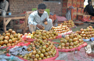 A vendor arranging and displaying seasonal fruit pomegranates to attract the customers at his roadside setup