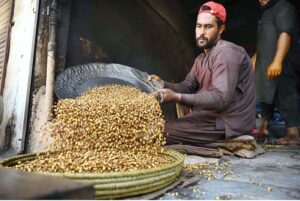 A worker busy in roosting grams at his workplace near the Firdous area.