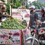 Vendor are busy in cutting and displaying lotus fruit to attract the customers at his roadside setup