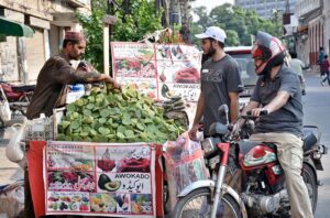 Vendor are busy in cutting and displaying lotus fruit to attract the customers at his roadside setup