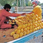 A man buys fresh mangoes from a local vendor at a roadside stall in the city