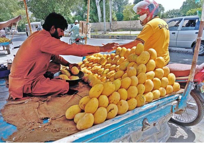 A man buys fresh mangoes from a local vendor at a roadside stall in the city