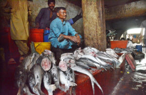 A fish vendor waits for customers at his makeshift fish stall in Chakra Goth, Karachi.