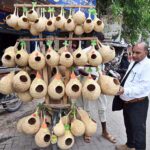 A street vendor sells handmade bird nests for gardens