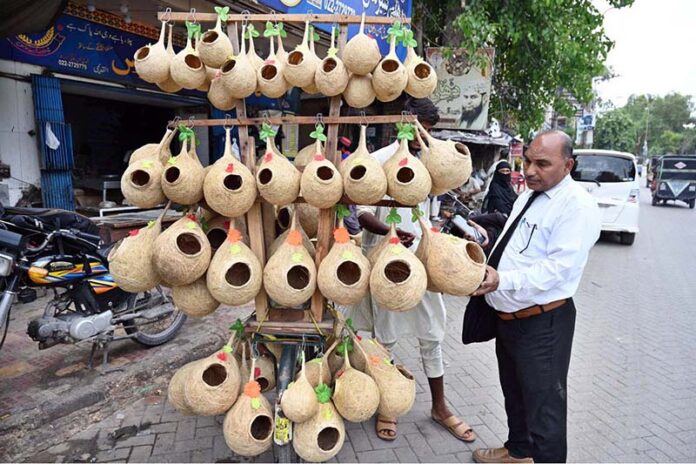 A street vendor sells handmade bird nests for gardens