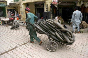 A daily-wage laborer pulls a handcart loaded with scrap tires for recycling at Namak Mandi.
