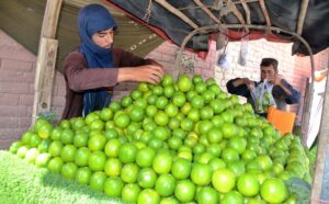 A vendor arranging and displaying sweet limes (meetha) on his handcart to attract the customers.