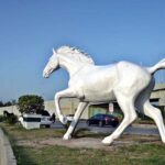 A newly installed horse model by CDA adds beauty to Rawal Dam Chowk in the Federal Capital