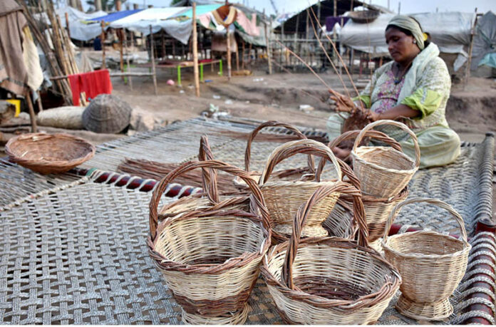 A gypsy woman busy in preparing traditional basket with branches of tree outside her makeshift house on the bank of River Ravi in the Provincial Capital