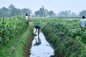 Farmer clears excess grass and sharpens watercourse edges to ensure efficient irrigation and maximize water usage for his crops.