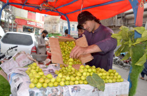 A fruit vendor sells fresh fig on roadside at Mission Chowk of Quetta