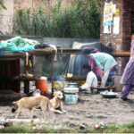 A gypsy woman preparing bread for her family at Makka Colony
