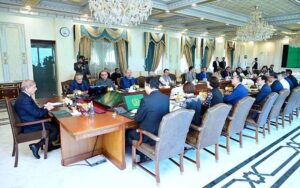 A delegation of RUYI Group led by Chairman QiuYafu calls on Prime Minister Muhammad Shehbaz Sharif