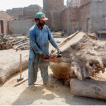 Woodcutters use electric saws to cut a large tree trunk into pieces at the timber market
