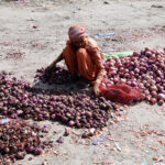 A vendor displaying onions to attract the customers at vegetable market