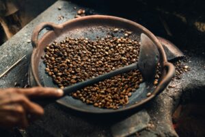 Kopi-Luwak coffee's costly journey from cat poop to gold