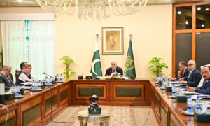 DPM Dar chairs meetings to review JMC, exploration, production sector issues