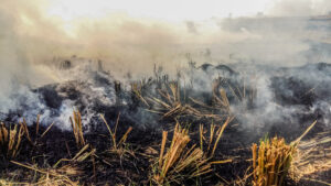 The silent war between air pollution and rural health, livelihood