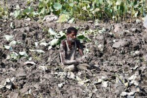 A farmer carefully plucks traditional beeh vegetables from the fertile fields near Wada Mahar Village, preserving the age-old connection between land and harvest.