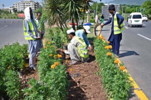 A floral peacock installation by CDA on Constitution Avenue ahead of the 23rd Shanghai Cooperation Organization SCO summit in Islamabad.