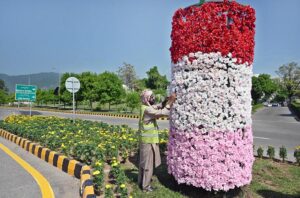 A floral peacock installation by CDA on Constitution Avenue ahead of the 23rd Shanghai Cooperation Organization SCO summit in Islamabad.