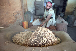 A man roasts fresh peanuts at his shop, a popular winter treat in high demand for its seasonal warmth and rich flavor