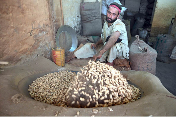 A man roasts fresh peanuts at his shop, a popular winter treat in high demand for its seasonal warmth and rich flavor