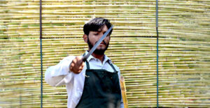 A vendor cuts sugarcane to prepare juice at his roadside setup.