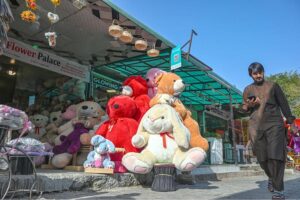 A vendor displaying teddy bears in his shop to attract customers at Jinnah Super Market in the Federal Capital