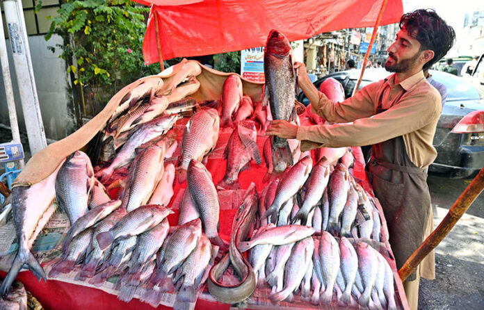 A fish vendor displaying fresh fish to attract customers in the market