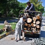 Labourers busy in loading woods on Suzuki pickup for domestic use in Federal Capital