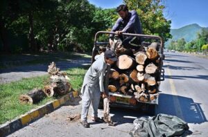 Labourers busy in loading woods on Suzuki pickup for domestic use in Federal Capital