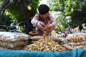 A vendor selling walnuts at his roadside stall, getting ready for the day's business in the Federal Capital.