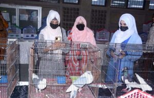 Students visiting stalls of Fancy Birds and Animals Show at Rabi Kisan Mela at University of Agriculture Faisalabad (UAF).