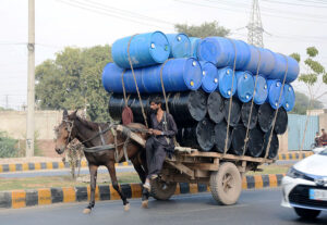A Donkey cart holder on the way while loaded with empty drums to deliver in the market