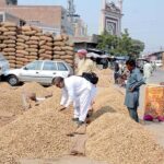 Vendors displaying peanuts at Grain Market to attract the customers