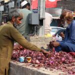 A gypsy person is scavenging and gathering onions from a pile of discarded onions left behind by vendors at the Fruit and Vegetables Market