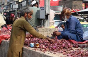 A gypsy person is scavenging and gathering onions from a pile of discarded onions left behind by vendors at the Fruit and Vegetables Market