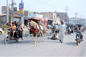 A Trainer is busy with the training of Horse for the two-wheeled cart (Taanga)carriage of passengers at LMQ Road