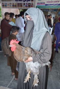 Students visiting stalls of Fancy Birds and Animals Show at Rabi Kisan Mela at University of Agriculture Faisalabad (UAF).
