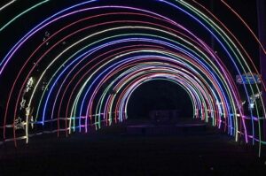 A view of decorative lights installed on greenbelt on Canal Road in Provincial Capital