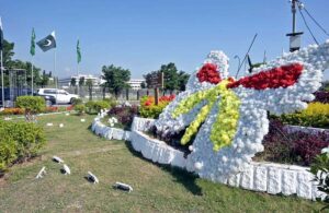 A view of birds replica installed at Constitution Avenue for beautification of Federal Capital in connection with Shanghai Cooperation Organization (SCO) Summit.